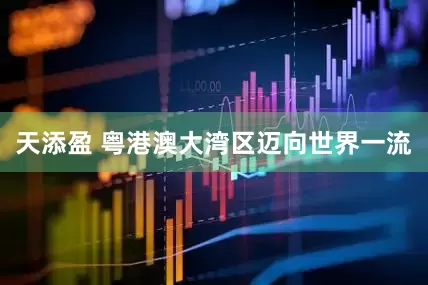 天添盈 粤港澳大湾区迈向世界一流