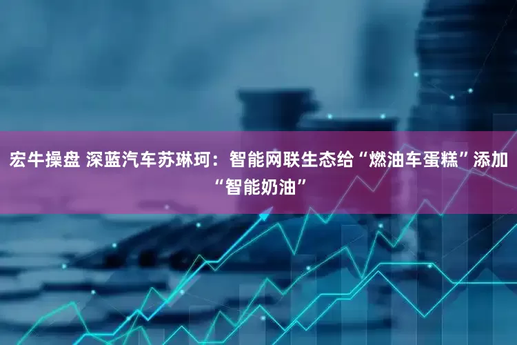 宏牛操盘 深蓝汽车苏琳珂：智能网联生态给“燃油车蛋糕”添加“智能奶油”
