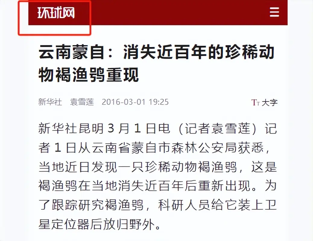 乾鑫配资 消失近百年后！2016年云南农民又发现一只，戴上定位器又放生