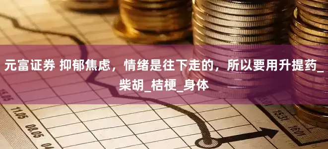 元富证券 抑郁焦虑，情绪是往下走的，所以要用升提药_柴胡_桔梗_身体