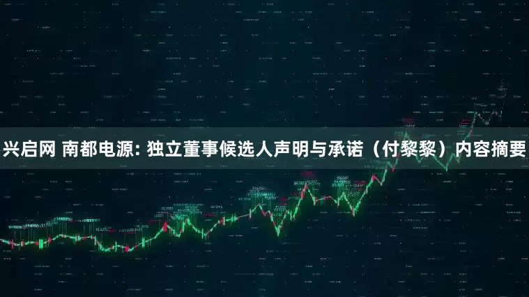 兴启网 南都电源: 独立董事候选人声明与承诺（付黎黎）内容摘要